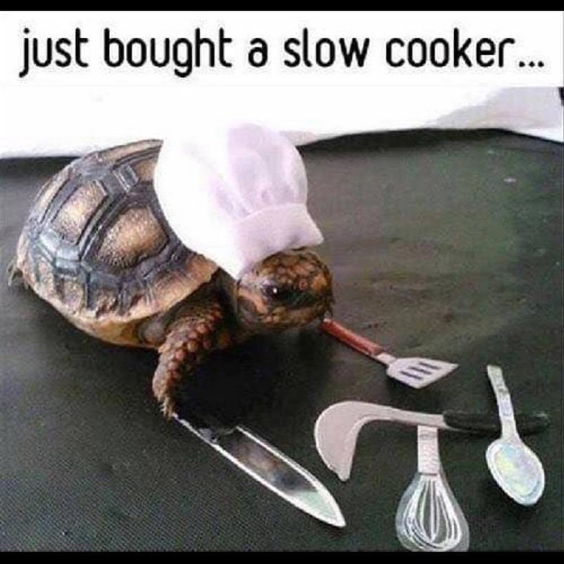 just bought a slow cooker...