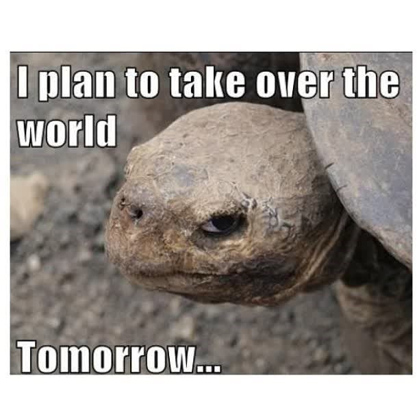 I plan to take over the World Tomorrow...