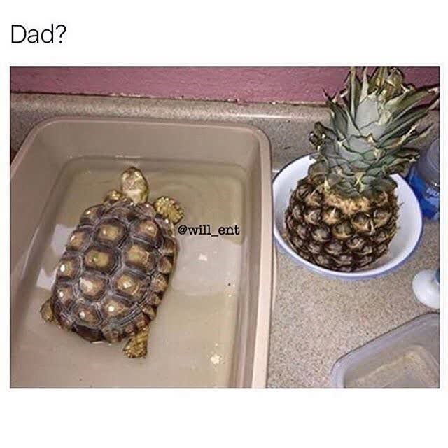 Dad? @will_ent
