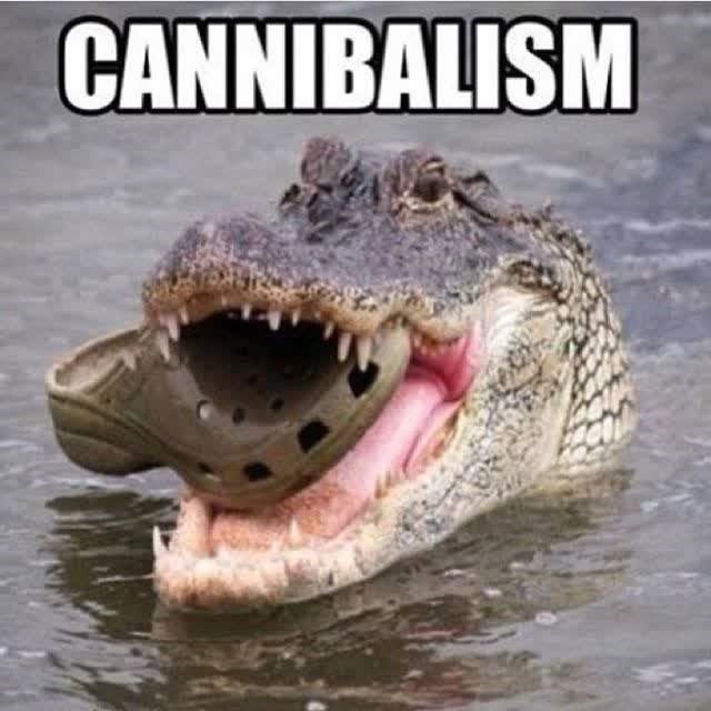 CANNIBALISM