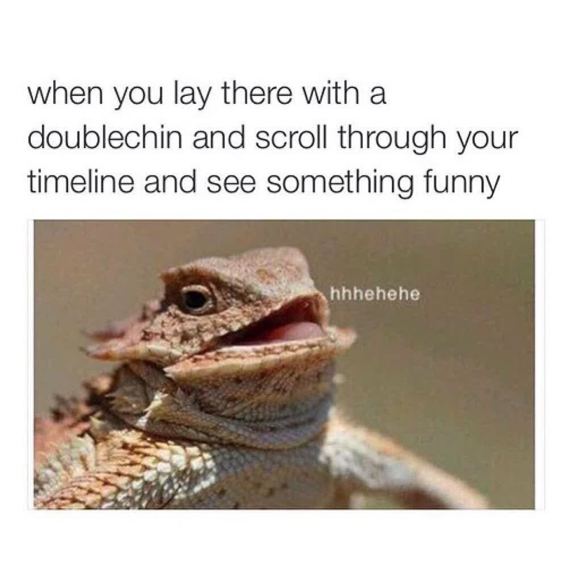when you lay there with a doublechin and scroll through your timeline and see something funny hhhehehe