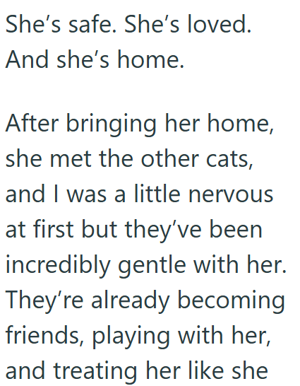 She's safe. She's loved. And she's home. After bringing her home, she met the other cats, and I was a little nervous at first but they've been incredibly gentle with her. They're already becoming friends, playing with her, and treating her like she