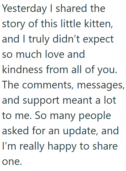 Yesterday I shared the story of this little kitten, and I truly didn't expect so much love and kindness from all of you. The comments, messages, and support meant a lot to me. So many people asked for an update, and I'm really happy to share one.