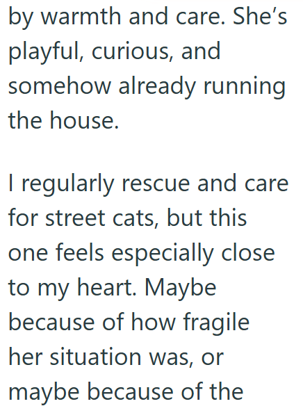 by warmth and care. She's playful, curious, and somehow already running the house. I regularly rescue and care for street cats, but this one feels especially close to my heart. Maybe because of how fragile her situation was, or maybe because of the