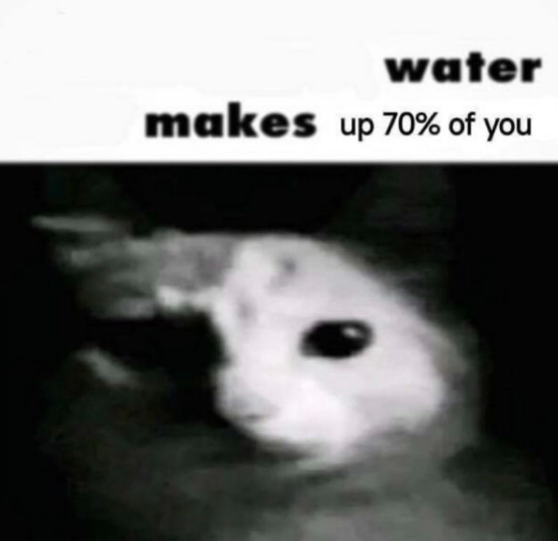 water makes up 70% of you