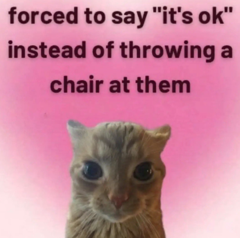 forced to say "it's ok" instead of throwing a chair at them