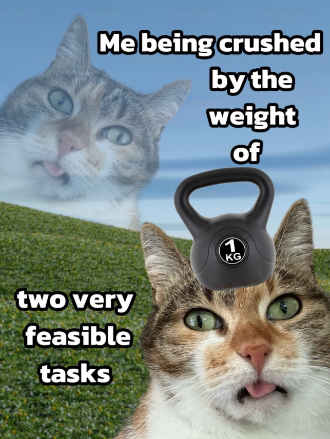 Me being crushed by the weight of two very feasible tasks KG