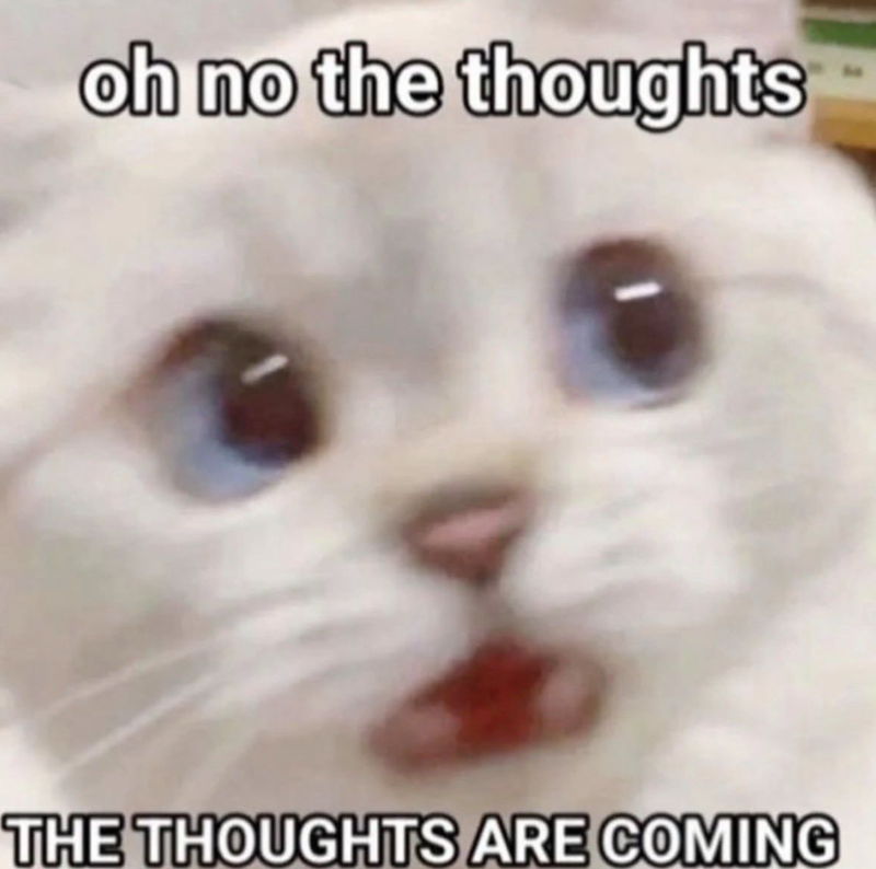 oh no the thoughts THE THOUGHTS ARE COMING