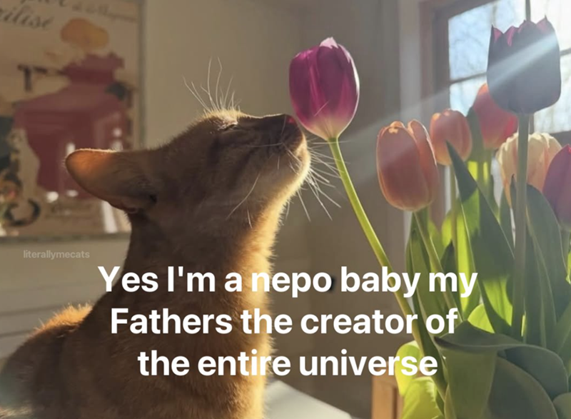 ilise literallymecats Yes I'm a nepo baby my Fathers the creator of the entire universe