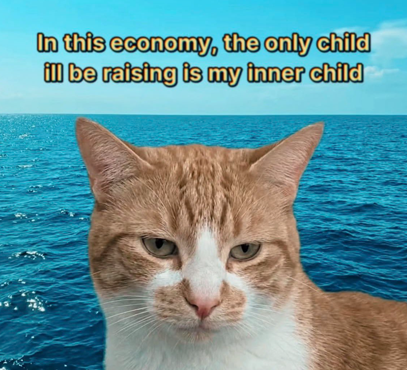 In this economy, the only child ill be raising is my inner child