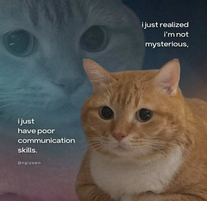 i just have poor communication skills. @nglyawn i just realized i'm not mysterious,