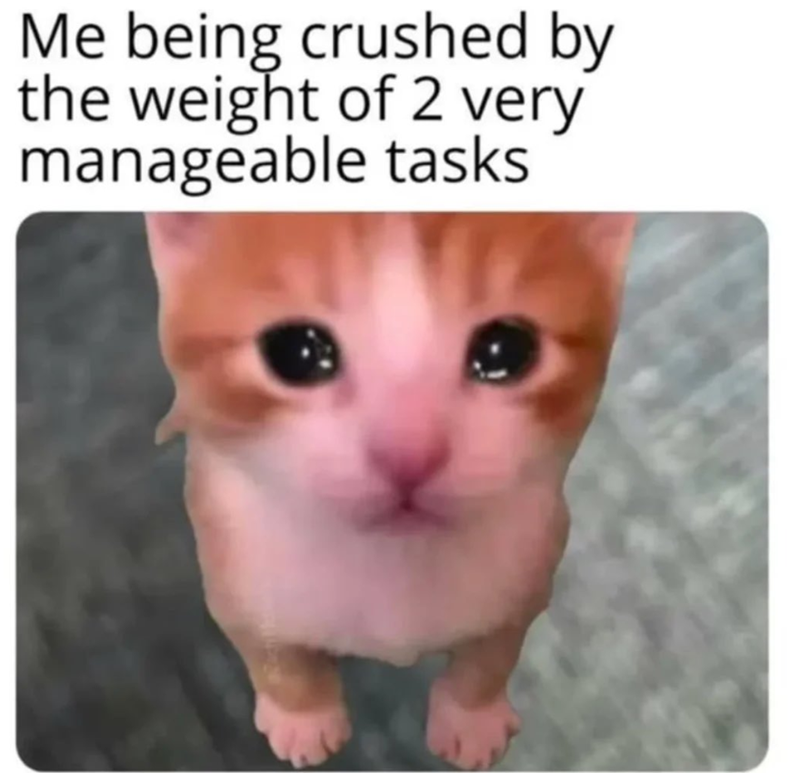 Me being crushed by the weight of 2 very manageable tasks