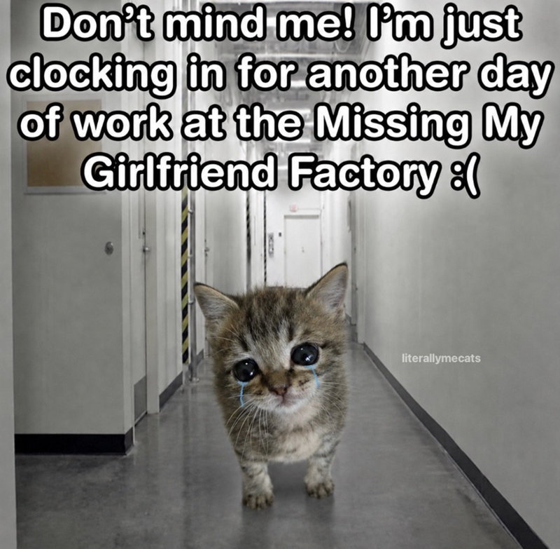 Don't mind me! I'm just clocking in for another day of work at the Missing My Girlfriend Factory :( literallymecats