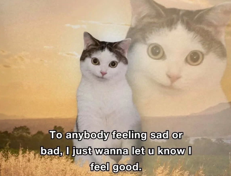 To anybody feeling sad or bad, I just wanna let u know I feel good.
