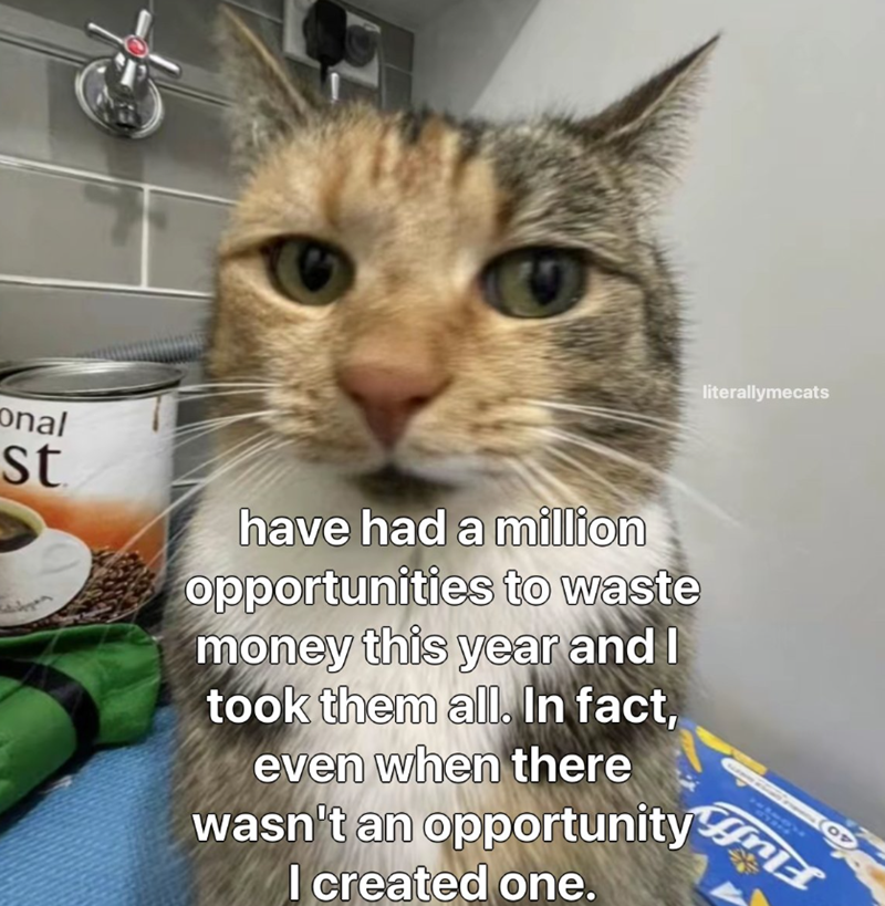 literallymecats onal st have had a million opportunities to waste money this year and I took them all. In fact, even when there wasn't an opportunity I created one. OP