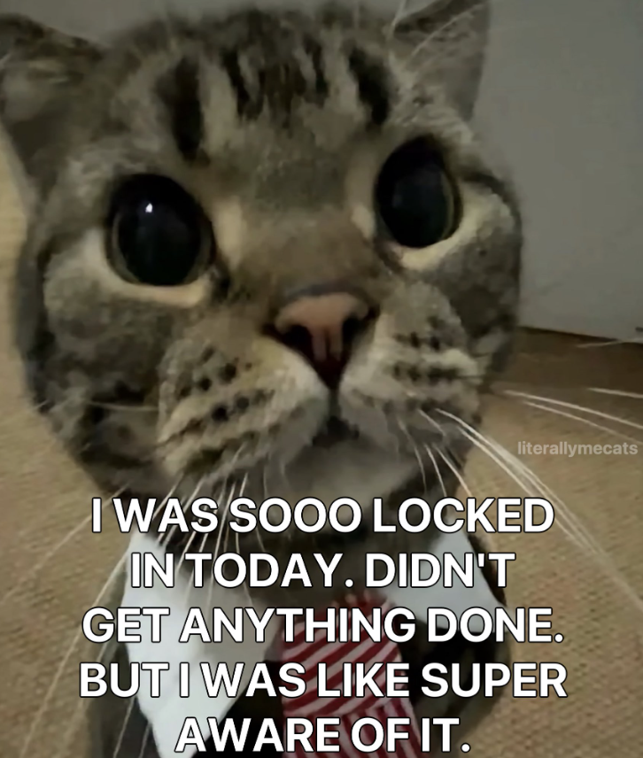 literallymecats I WAS SOOO LOCKED IN TODAY. DIDN'T GET ANYTHING DONE. BUT I WAS LIKE SUPER AWARE OF IT.