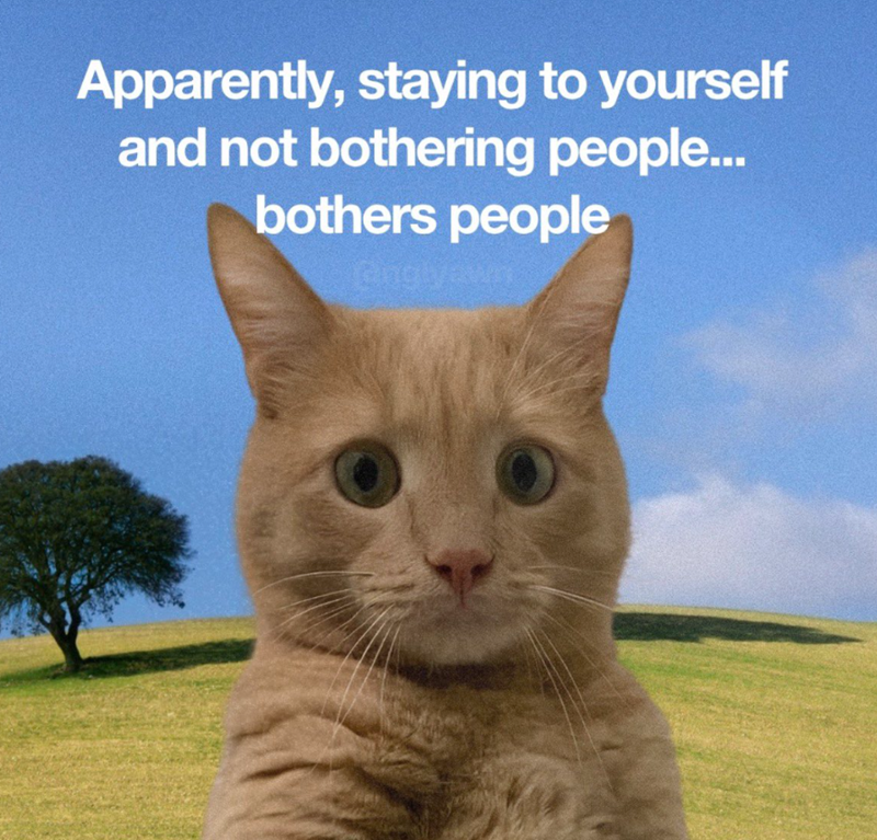 Apparently, staying to yourself and not bothering people... bothers people Ginglyawn