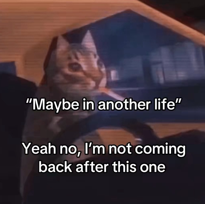 "Maybe in another life" Yeah no, I'm not coming back after this one
