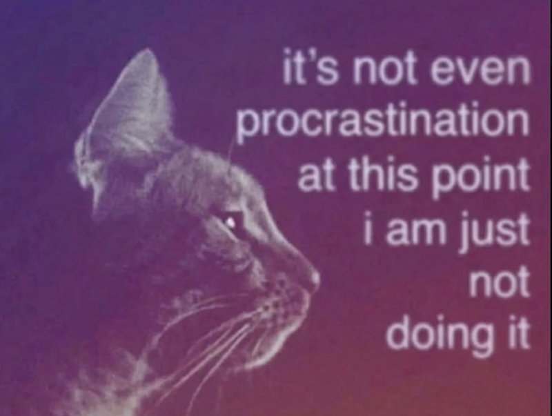 it's not even procrastination at this point i am just not doing it