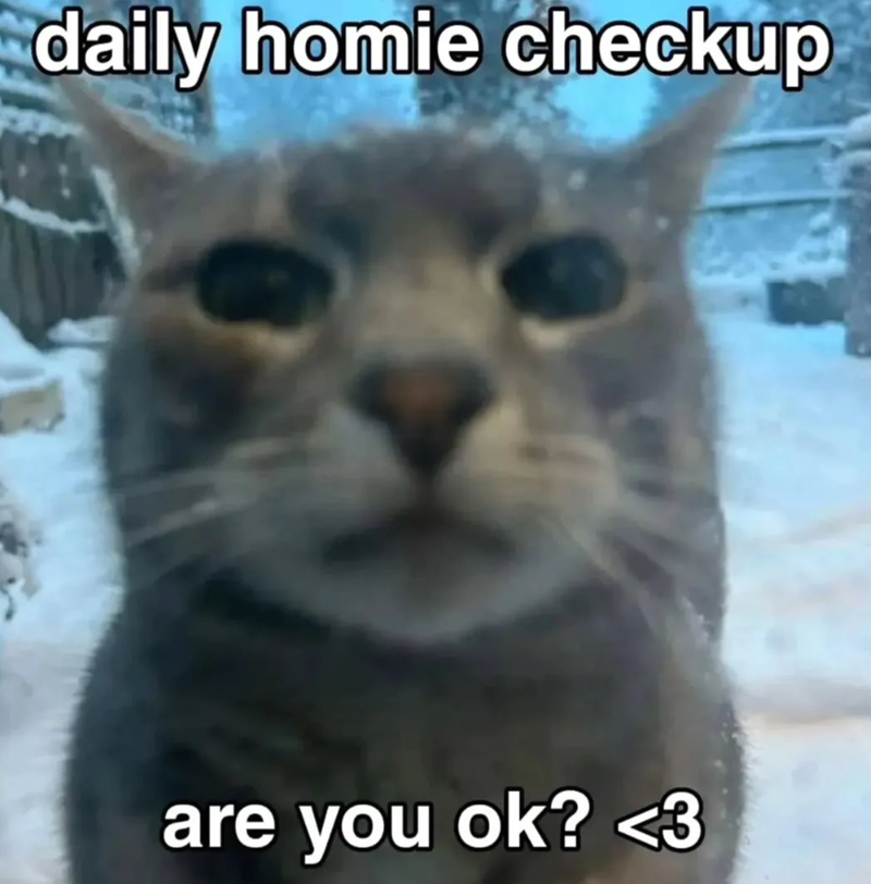 daily homie checkup are you ok? <3