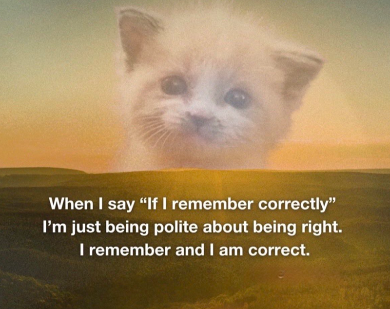 When I say "If I remember correctly" I'm just being polite about being right. I remember and I am correct.