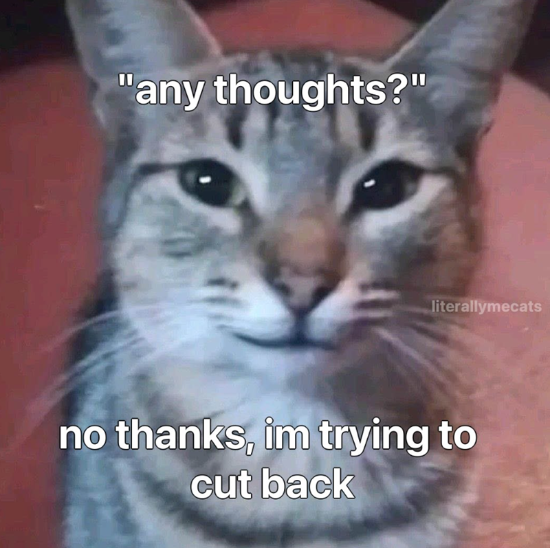 "any thoughts?" literallymecats no thanks, im trying to cut back