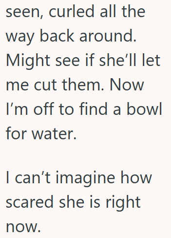 seen, curled all the way back around. Might see if she'll let me cut them. Now I'm off to find a bowl for water. I can't imagine how scared she is right now.