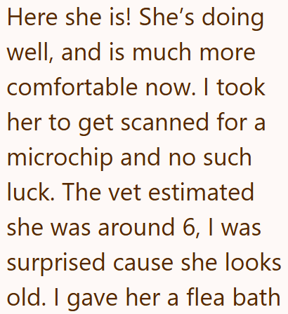 Here she is! She's doing well, and is much more comfortable now. I took her to get scanned for a microchip and no such luck. The vet estimated she was around 6, I was surprised cause she looks old. I gave her a flea bath