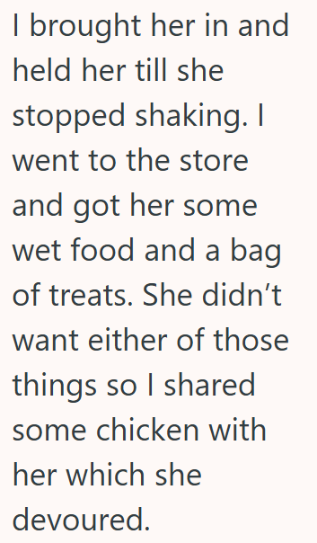 I brought her in and held her till she stopped shaking. I went to the store and got her some wet food and a bag of treats. She didn't want either of those things so I shared some chicken with her which she devoured.