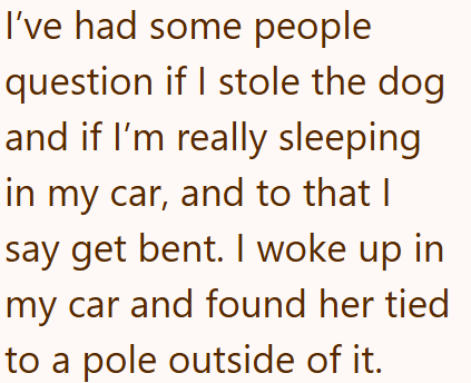 I've had some people question if I stole the dog and if I'm really sleeping in my car, and to that I say get bent. I woke up in my car and found her tied to a pole outside of it.