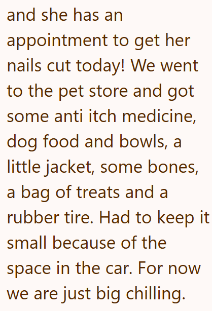 and she has an appointment to get her nails cut today! We went to the pet store and got some anti itch medicine, dog food and bowls, a little jacket, some bones, a bag of treats and a rubber tire. Had to keep it small because of the space in the car. For now we are just big chilling.