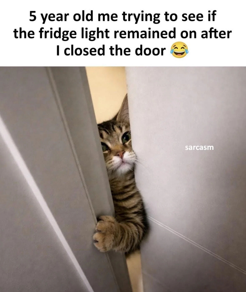 5 year old me trying to see if the fridge light remained on after I closed the door sarcasm