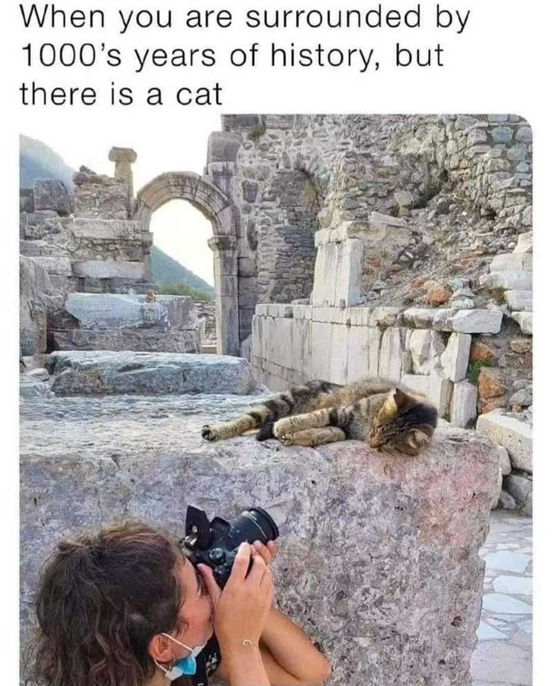 When you are surrounded by 1000's years of history, but there is a cat