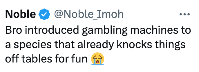 Noble @Noble_Imoh Bro introduced gambling machines to a species that already knocks things off tables for fun