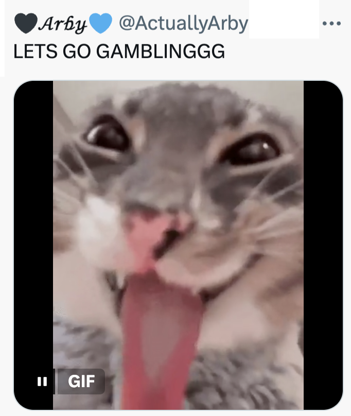 Arby @ActuallyArby LETS GO GAMBLINGGG II GIF