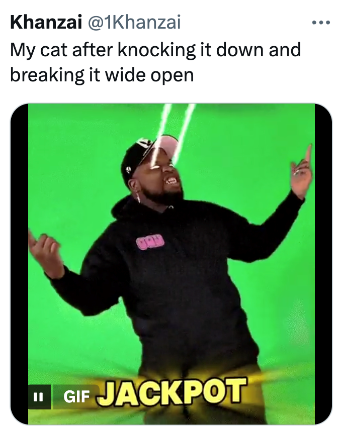 Khanzai @1Khanzai My cat after knocking it down and breaking it wide open || GIF JACKPOT
