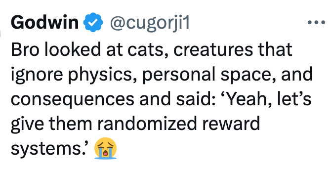 Godwin@cugorji1 Bro looked at cats, creatures that ignore physics, personal space, and consequences and said: 'Yeah, let's give them randomized reward systems.'
