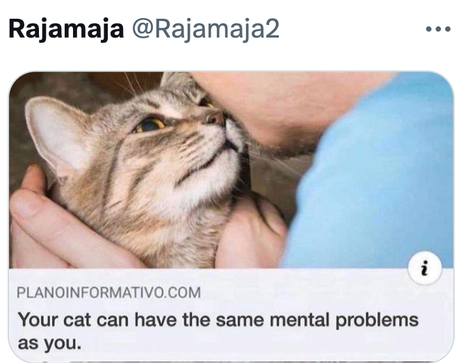 Rajamaja @Rajamaja2 PLANOINFORMATIVO.COM Your cat can have the same mental problems as you. 2.