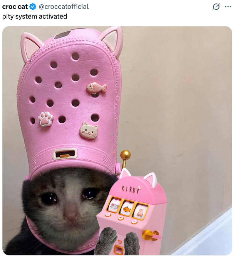 croc cat @croccatofficial pity system activated KIRBY CCO Q ...