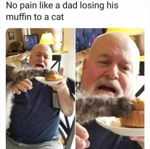 No pain like a dad losing his muffin to a cat