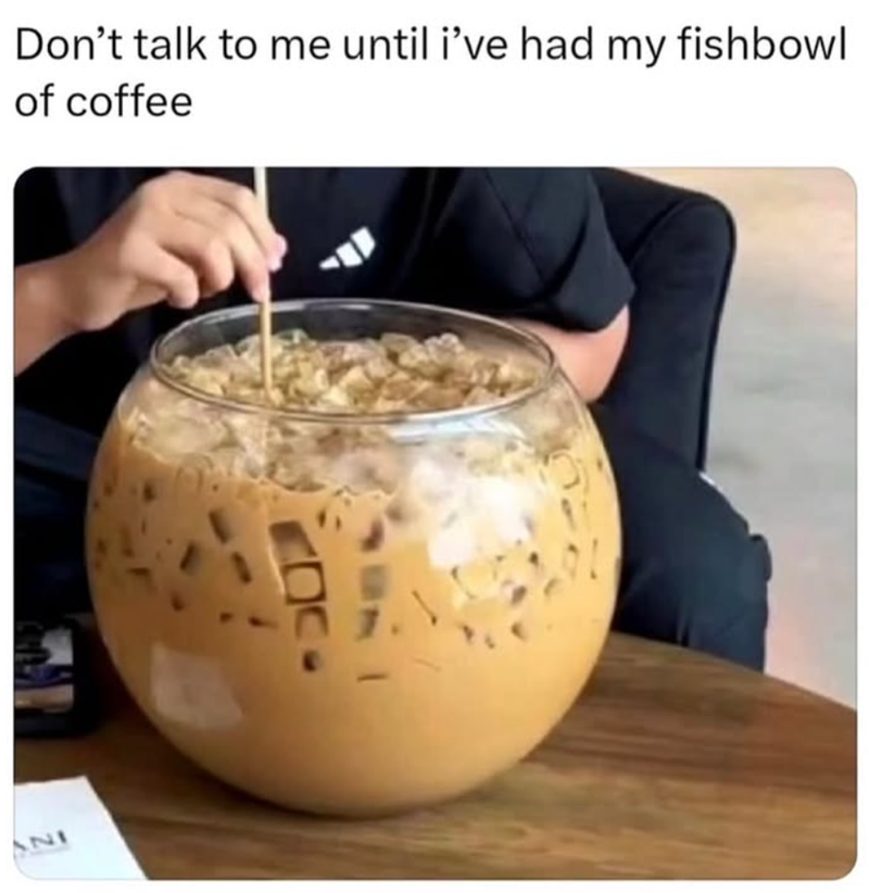72I Don't talk to me until i've had my fishbowl of coffee