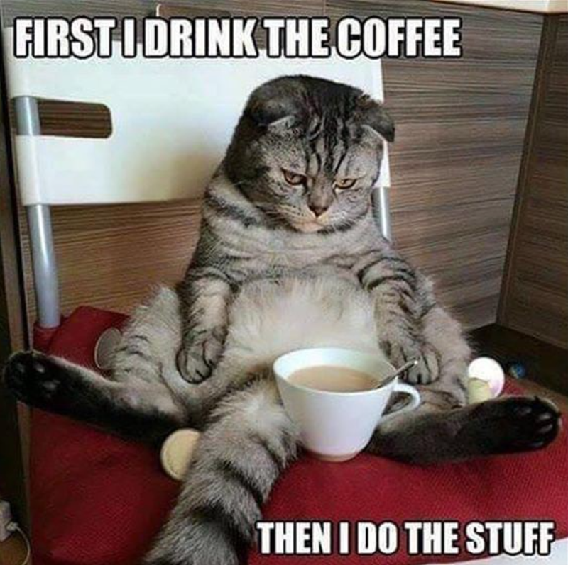 FIRST I DRINK THE COFFEE THEN I DO THE STUFF