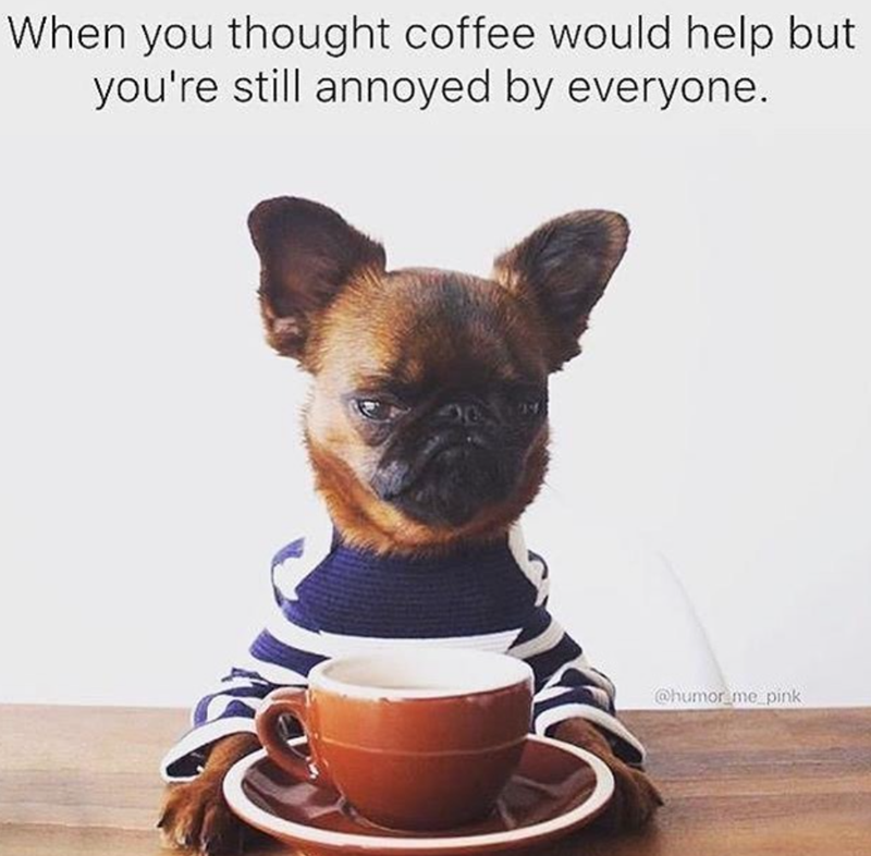 When you thought coffee would help but you're still annoyed by everyone. 34 @humor_me_pink