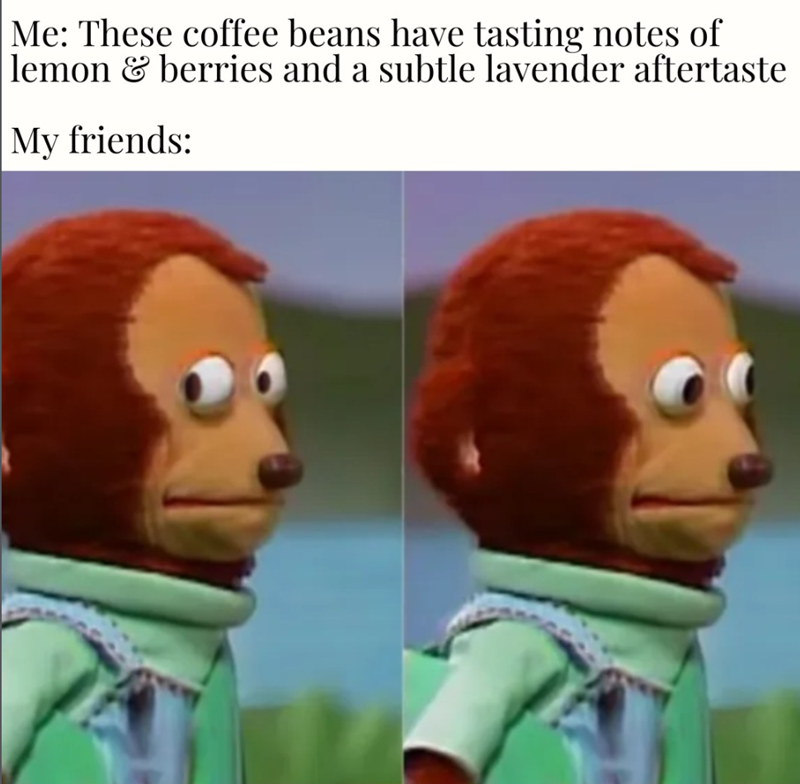 Me: These coffee beans have tasting notes of lemon & berries and a subtle lavender aftertaste My friends: