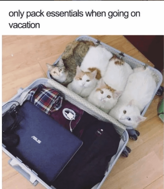 only pack essentials when going on vacation SUS