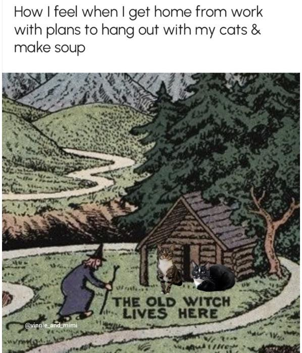 How I feel when I get home from work with plans to hang out with my cats & make soup @vinnie_and_mimi THE OLD WITCH LIVES HERE