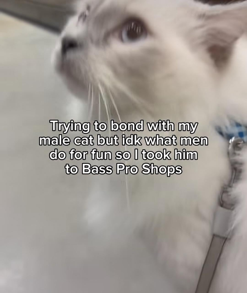 Trying to bond with my male cat but idk what men do for fun so I took him to Bass Pro Shops