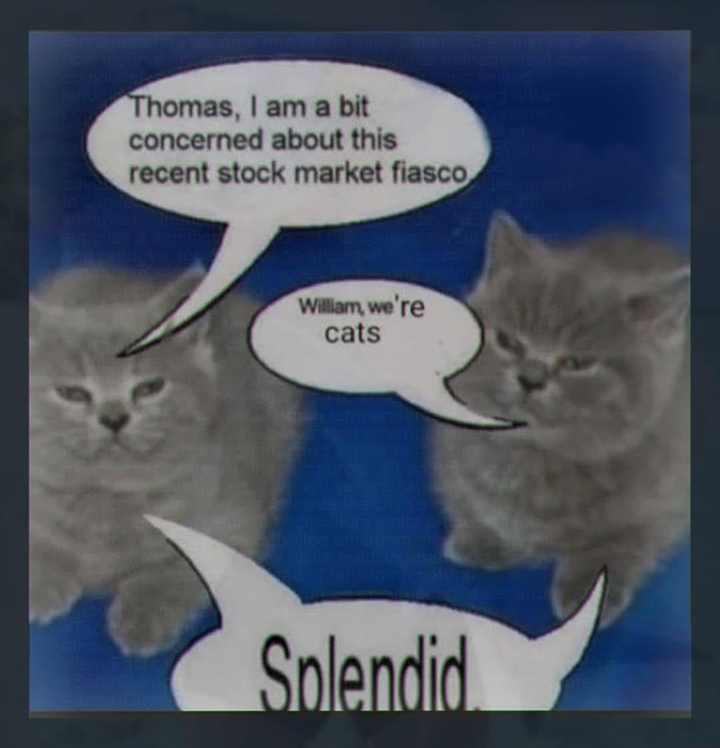 Thomas, I am a bit concerned about this recent stock market fiasco nagement can limited wing urban Vétems of EWater William, we're cats udit vertical ude the city Splendid
