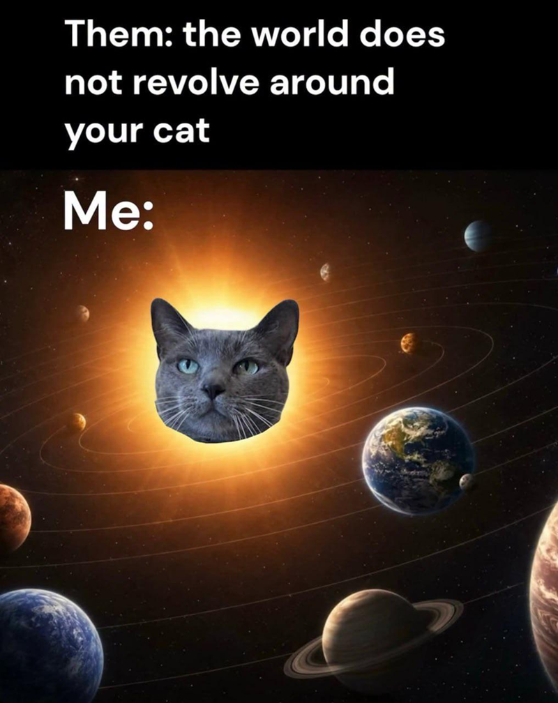 Them: the world does not revolve around your cat Me: