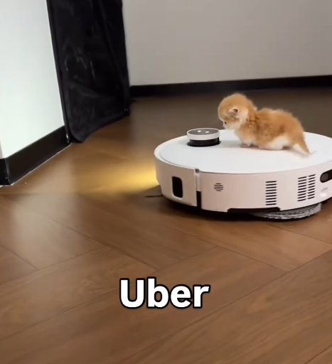 wwwwwww Uber